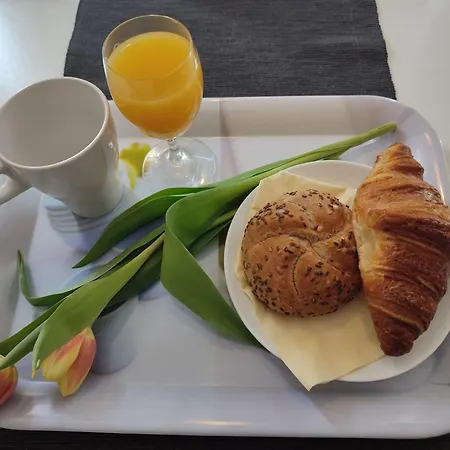 Pelso * Σίοφοκ