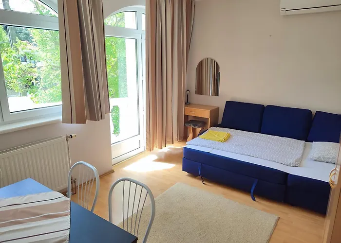 Pelso * 시오포크