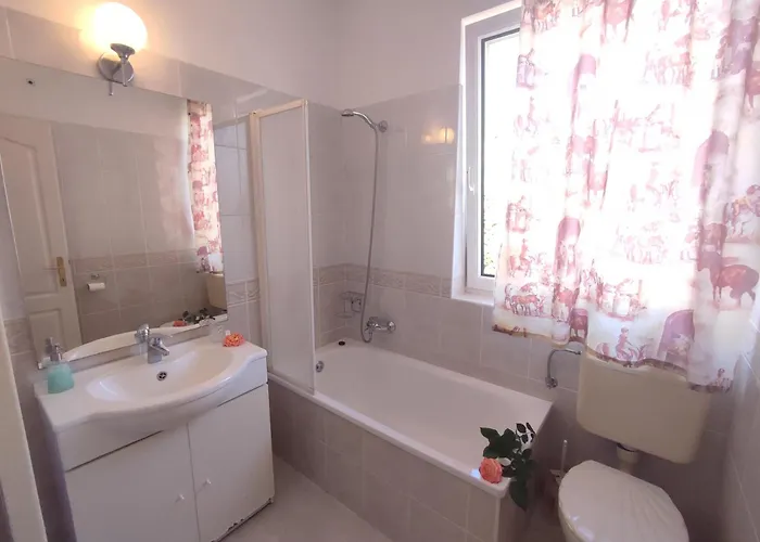 Pelso * シオーフォク