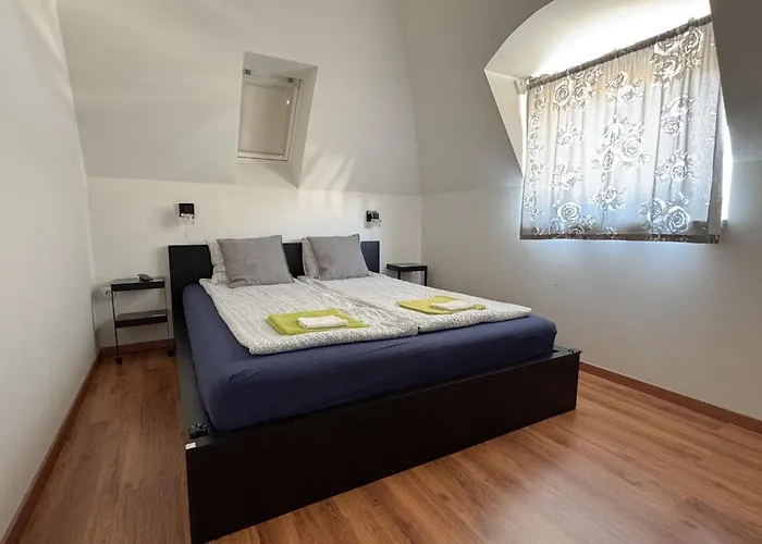 Apartment Pelso *